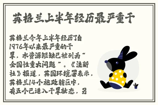 农村毛片